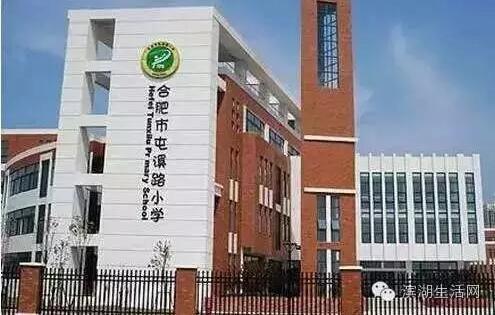 学区大还是片区大,滨湖新区哪个学区好