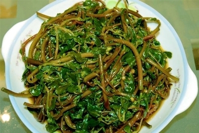 吃什么长寿菜对心脏好,长寿菜可以降血压吗