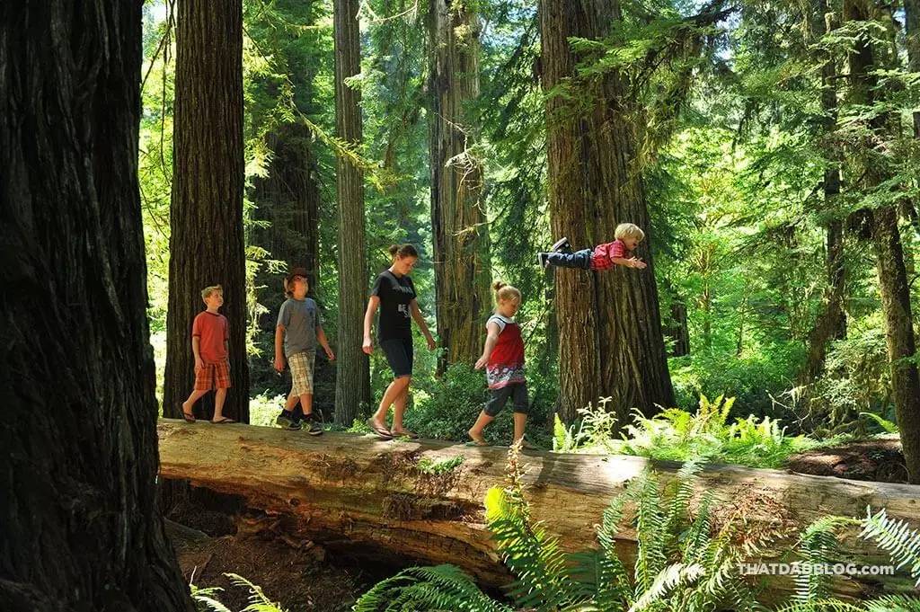 小孩患唐氏综合征,唐氏综合征比较幸运的孩子