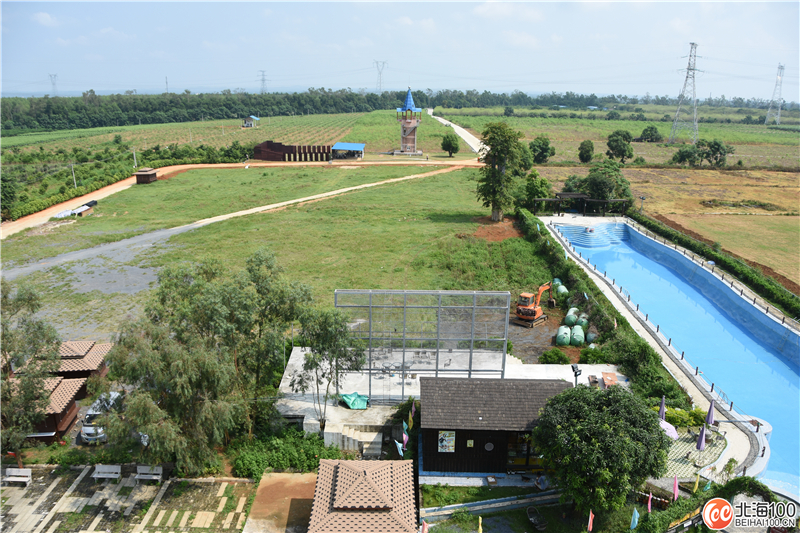 周末去哪儿玩？小编带你去合浦七里香茶庄园和石康镇“小村故事”