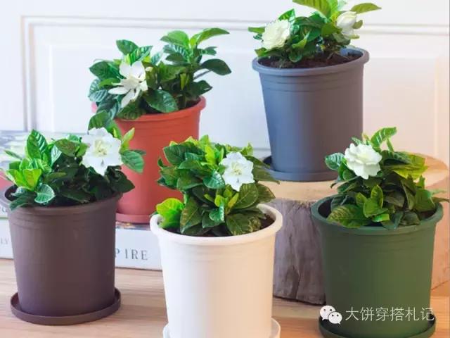 租房提升家居幸福感的小物件,租房实用的小物