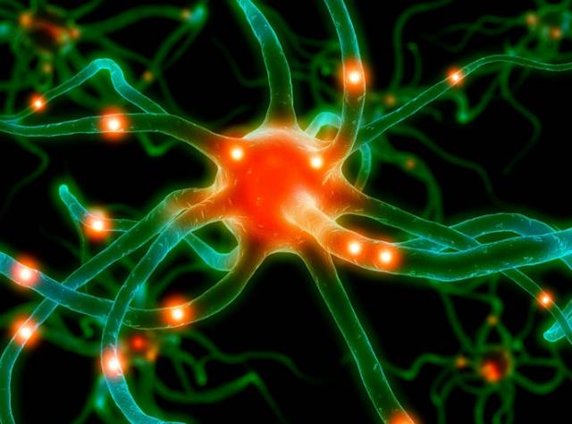 肿瘤治疗新秀,目前肿瘤治疗的新疗法