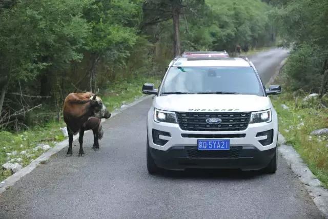 先定一个小目标，比方说先来辆福特探险者