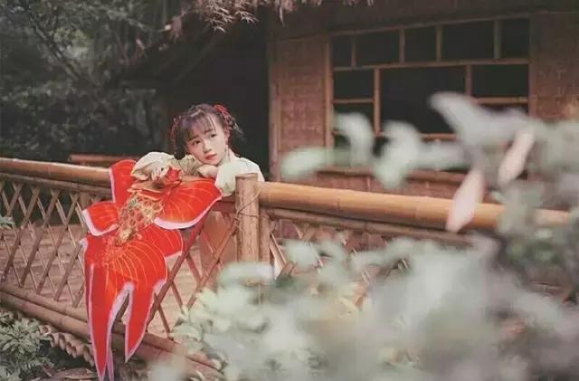 汉服之美谓之华作文,汉服之美的文章