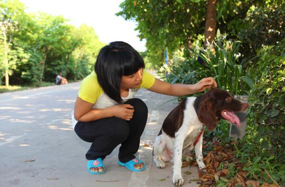 狗狗胆子小经常吓尿怎么训练出来,狗狗幼犬会出现哪些问题
