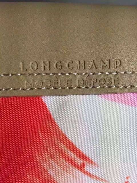 longchamp珑骧饺子包,longchamp饺子包爆款