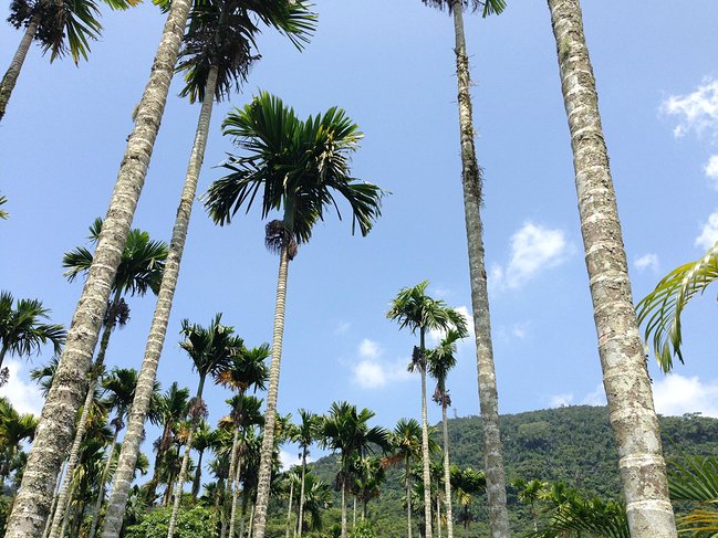 懒人版三亚旅游攻略,海南三亚懒人行租车