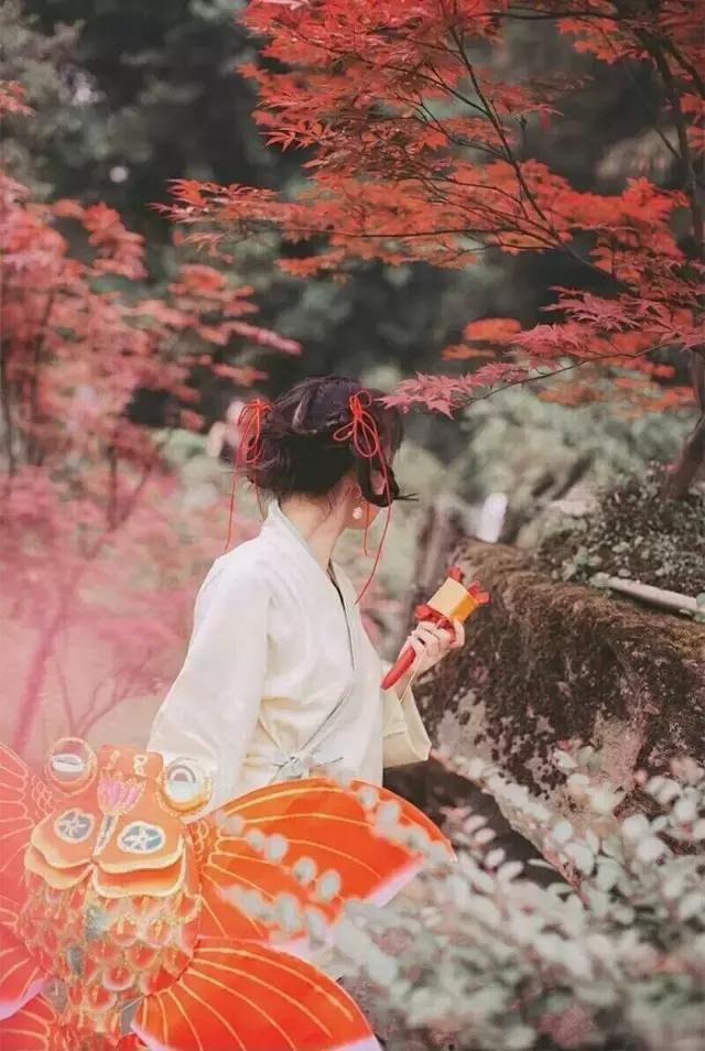 汉服之美谓之华作文,汉服之美的文章