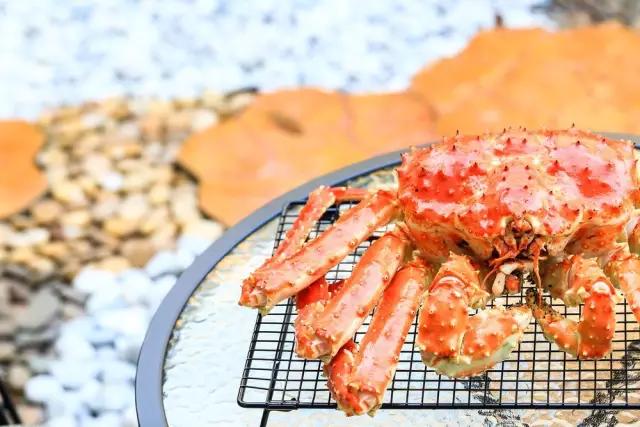 期待已久的日本之行,7天日本之旅圆满结束