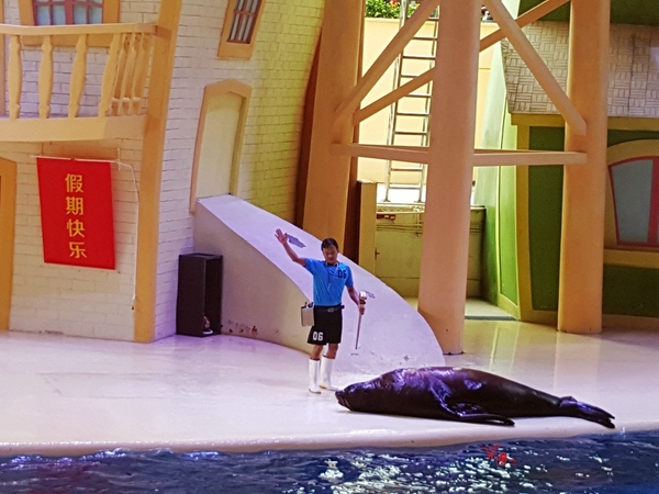 珠海长隆让人尖叫的海洋王国,珠海长隆海洋王国之绚丽多彩