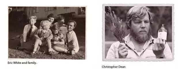 澳洲星期四精油祛痘 (澳洲星期四茶树精油祛痘霜)