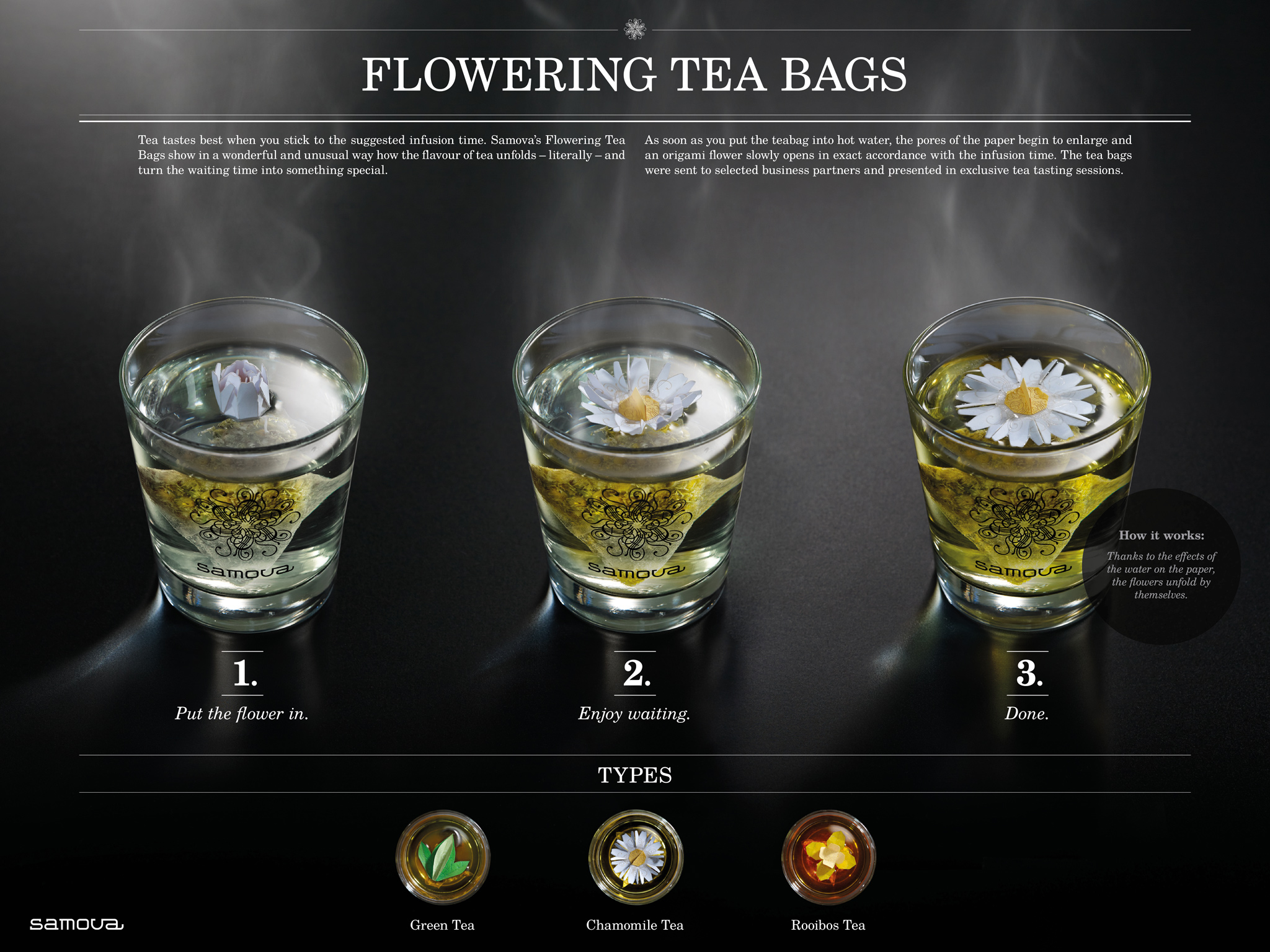 茶叶里的微观世界,迷你世界茶包