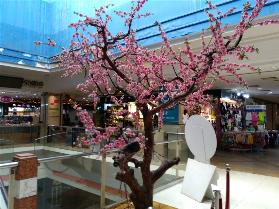 性价比高且支持夜景长曝光的手机,16gb+1tb内存拍照好的手机