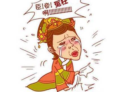 注意过狗粮中红白肉吗？！为了你家汪，看看这里吧！