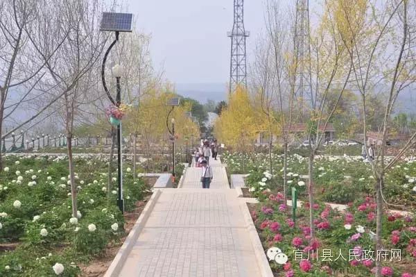 宜川县城市建设,洛川创建省级文明县城