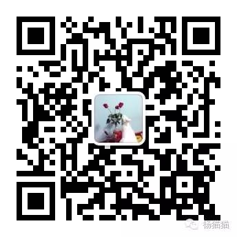 11朵戴安娜玫瑰花语,11朵粉玫瑰花的花语