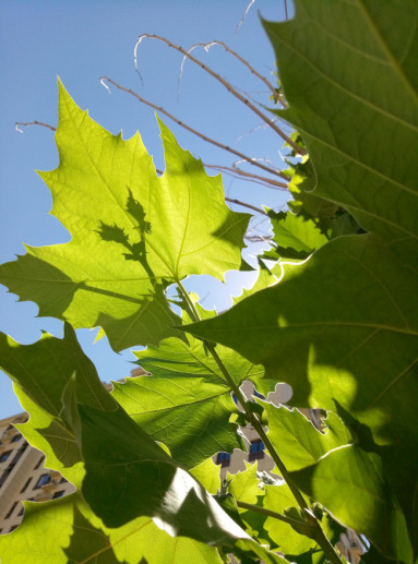 魅蓝e现在的价格是多少,魅蓝e价格多少