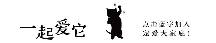 宠爱故事免费观看,宠爱剧情梗概