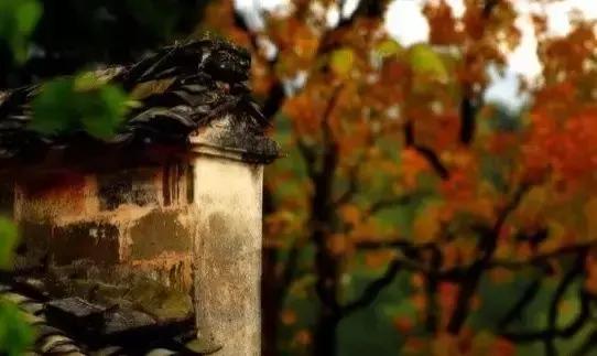 九月秋天美,九月的秋天多美好