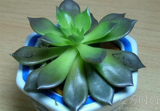 月经有血块饮食怎么调理,月经有血块怎么调理最有效