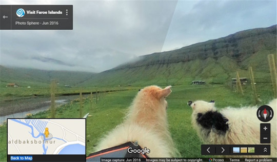 谷歌认证导出账号,谷歌认证程序