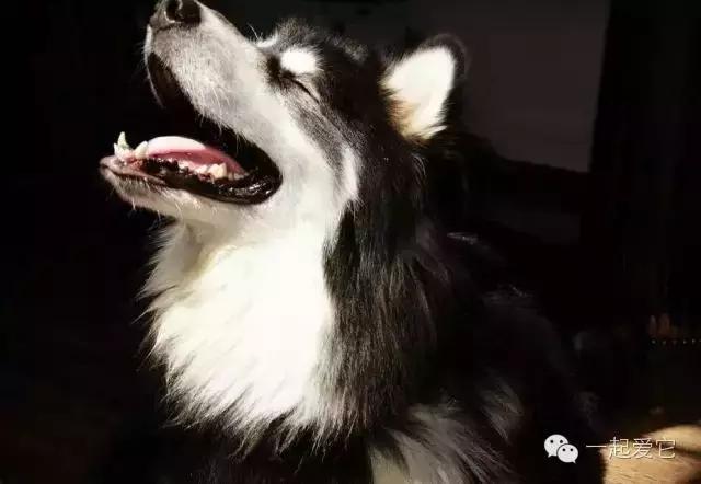 宠爱故事免费观看,宠爱剧情梗概