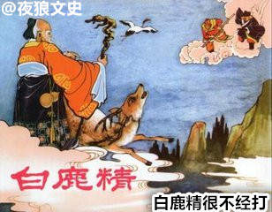 诸神坐骑下凡大比拼,要在凡间混关键还得看背景