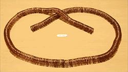 自制磁悬浮火车,自制磁悬浮列车玩具