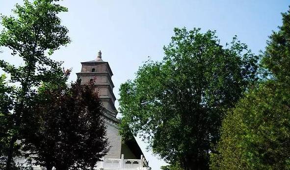 徐州坐高铁到北京要多少小时,徐州高铁去西安