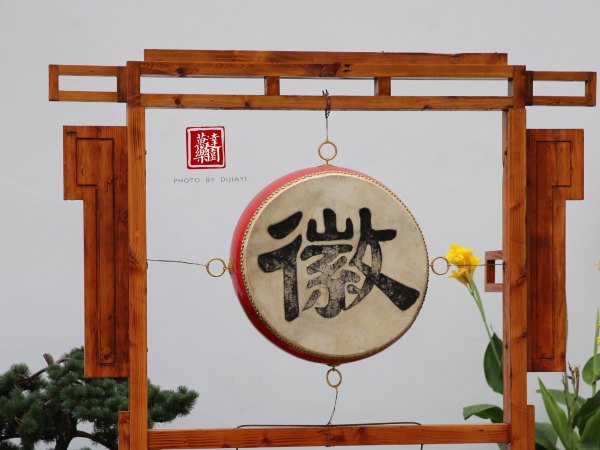 合肥万达乐园游玩,合肥万达乐园主题乐园