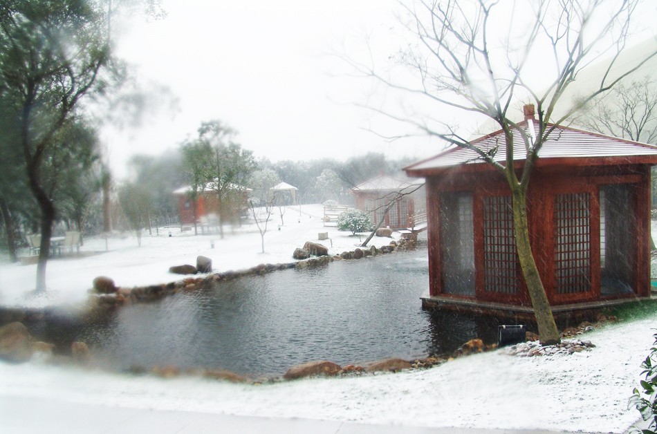 零下80度上海,上海零下9.8度