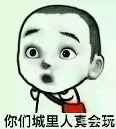 马云去印度投资了吗,张家界旅游投资