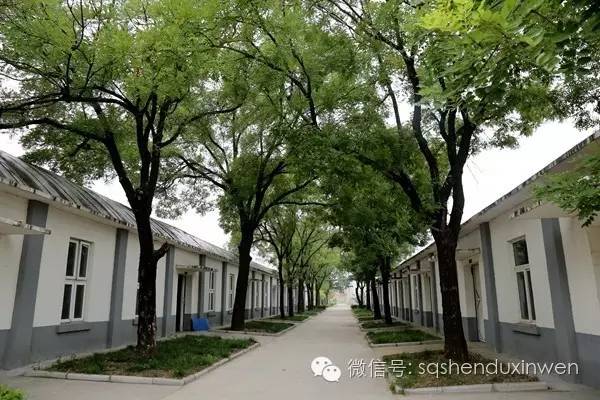 都说南厂出好酒,到底好在哪里?酒乡宁陵探源