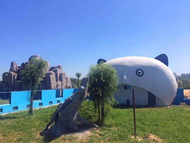 德州动植物园摄影,德州植物园景点