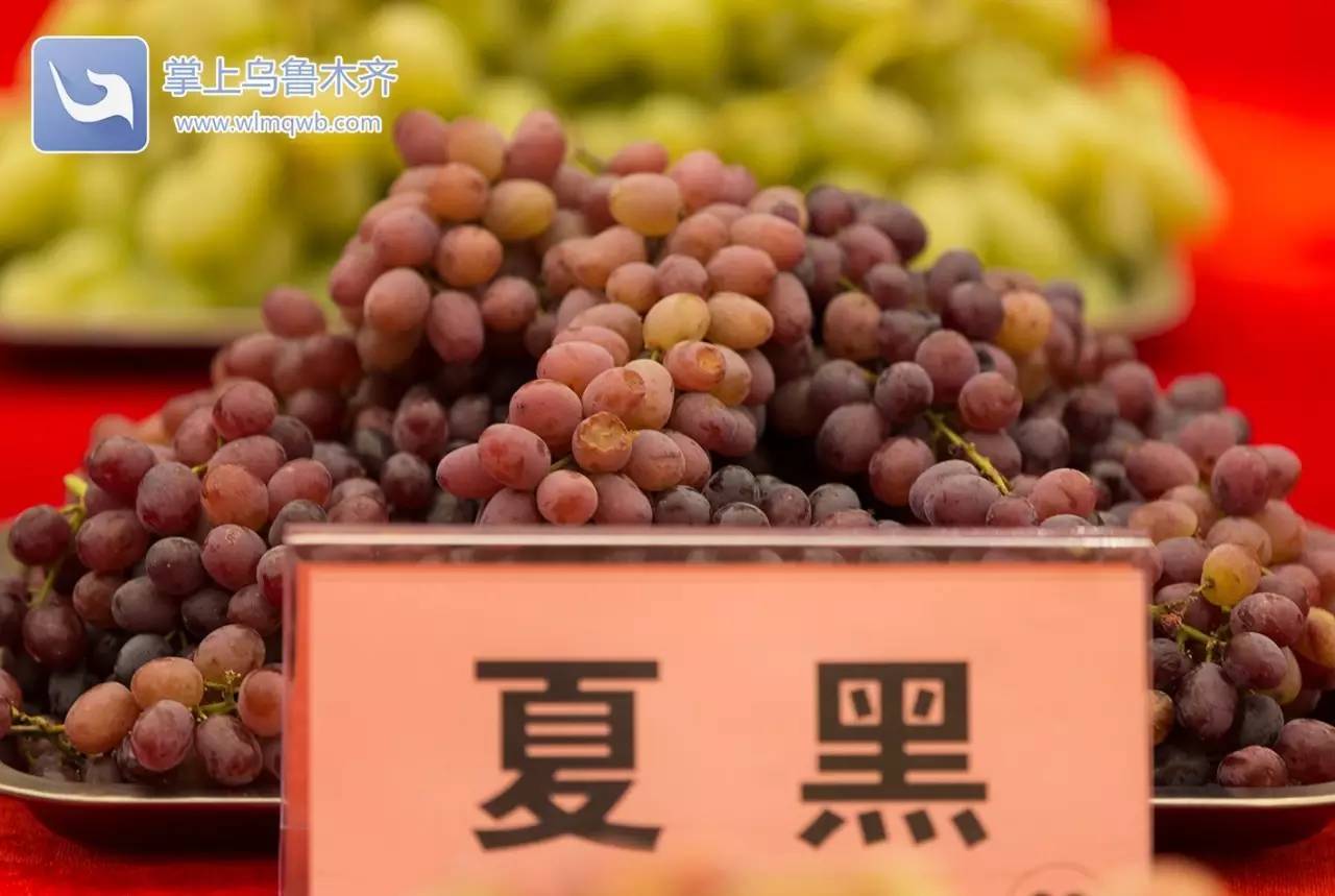 自带花香味的葡萄你吃过吗,吃葡萄不吐葡萄皮的葡萄怎么挑