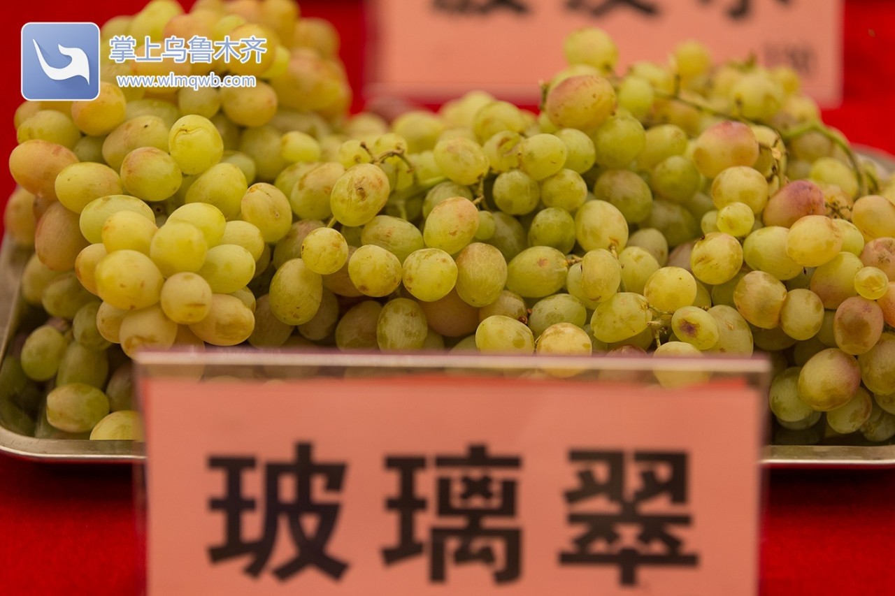 自带花香味的葡萄你吃过吗,吃葡萄不吐葡萄皮的葡萄怎么挑