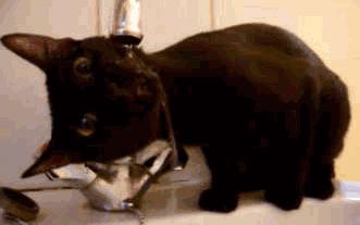 讲真，赚多少钱最幸福！