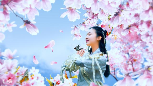 小说遭到背叛,小说遭遇背叛