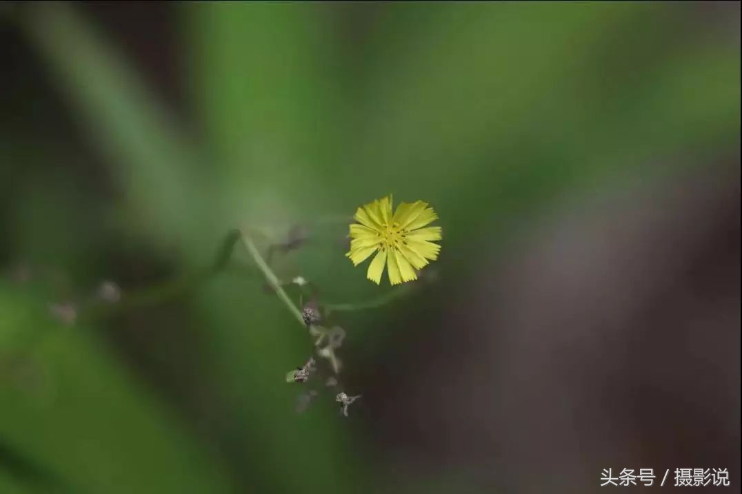 nisi近摄镜使用方法视频,nisi耐司滤镜