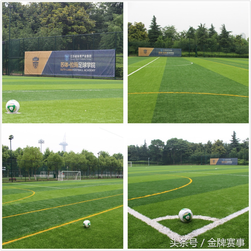 苏体赛事报名,苏体招生简章