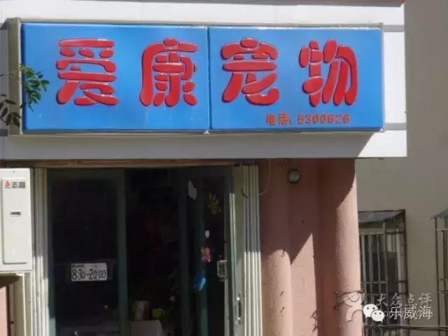 威海最全的宠物店汇总!喵奴汪主人还不速速收藏!