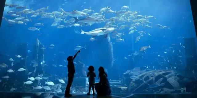 阿联酋可以落地签吗,阿联酋去哪里可以落地签