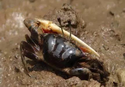 象山石浦渔港古城开渔节,开渔节暨海鲜美食文化旅游节