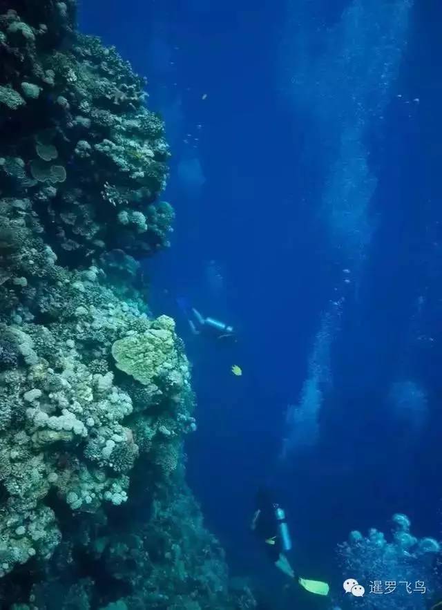 泰国沙美岛潜水有套路吗,泰国普吉岛潜水泳镜