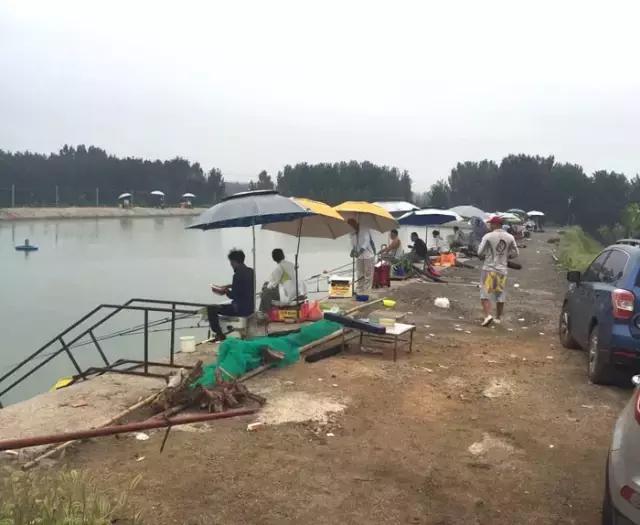 《渔获战报》黑坑之王在此，江湖没有之一