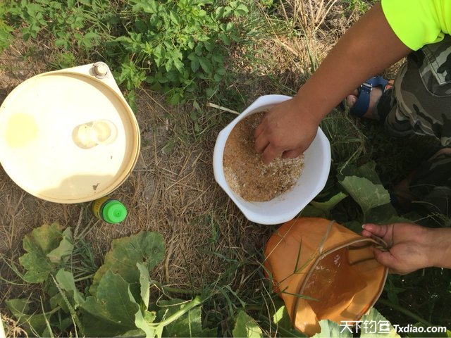 渔品汇产品,渔品汇饵料