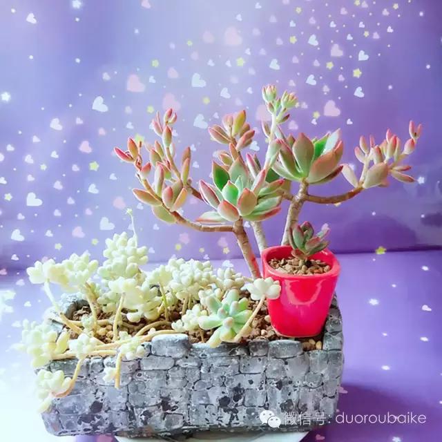 入坑就不能自拔,入坑后无法自拔