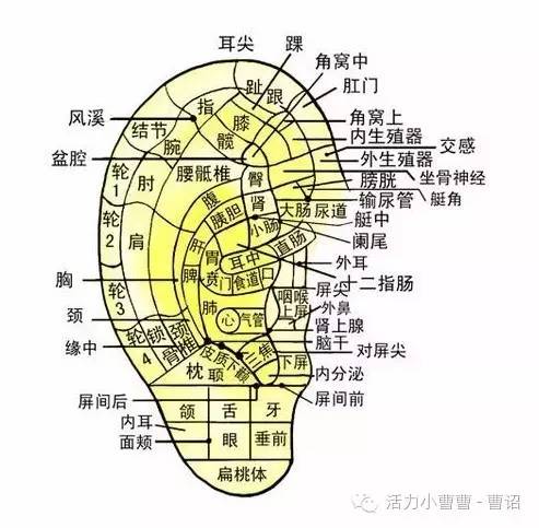 睡眠不好如何贴三伏贴,睡眠不好贴祛湿贴
