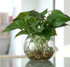 怎样知道自己家的财位在哪个位置,如何确定家里的财位在哪个位置