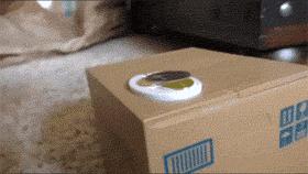 再往里挤一挤,还有位置呢!这蚌精长了八只脚好神奇的样子!